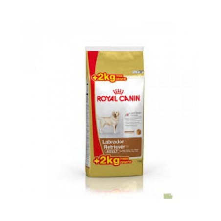 Royal Canin Labrador Retriever Adult da kg 14 ( kg 12 + kg 2 gratis € 3,32/kg )