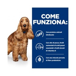 Hill’s Prescription Diet Canine z/d Ultra Allergen-Free alimento secco 10 kg