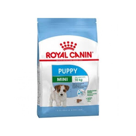 Royal Canin Taglia mini junior 800g