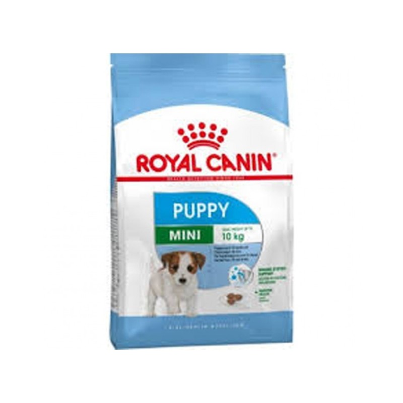 Royal Canin Taglia mini junior 800g