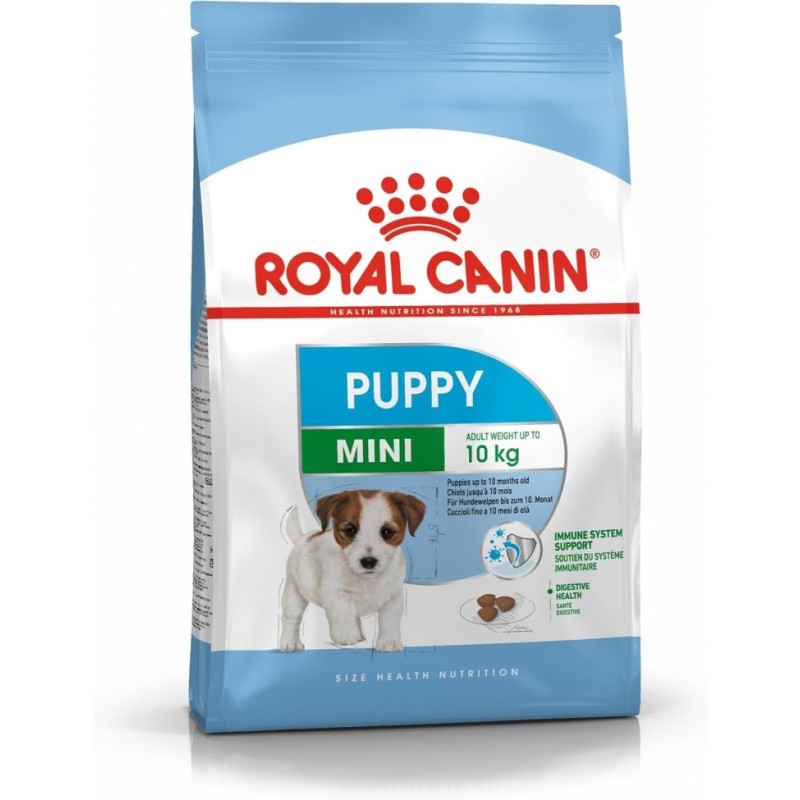 Royal Canin Taglia mini junior kg 2