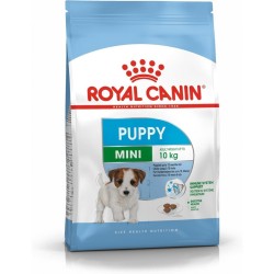 Royal Canin Taglia mini junior kg 2