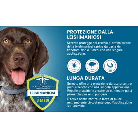 Seresto Collare Cani Oltre 8 Kg Originale Antipulci e Zecche 8 Mesi Spedizione Veloce