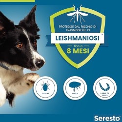 Seresto Collare Antiparassitario Cani fino a 8 kg 38 cm Protezione Pulci e Zecche 8 Mesi