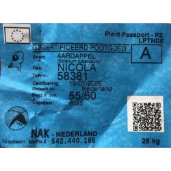 Patate da Semina Nicola Pezzatura 55/60 Certificata Olandese Plantera Tuberi Pasta Gialla al kg