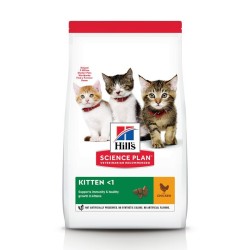 Hill's Science Plan Kitten Healthy Development Pollo 300 gr secco
