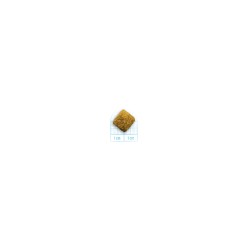 Forza 10 Active Line Intestinal Colon Fase I Pesce Crocchette cane da kg 10