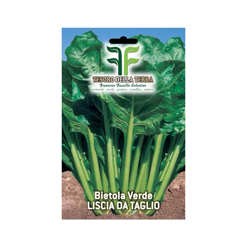 Bietola Verde Liscia a Costa Selezione Barese
