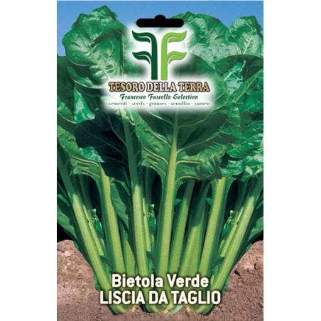 Bietola Verde Liscia da Taglio