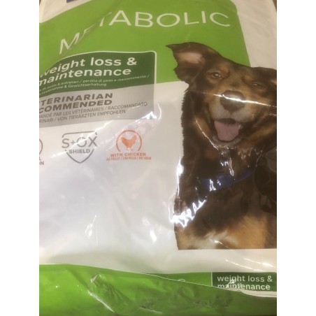 Hill's Prescription Diet Metabolic Canine Original perdita e mantenimento peso 12Kg secco ( CONFEZIONE DANNEGGIATA )