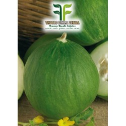 Carosello Tondo Liscio Barattiere