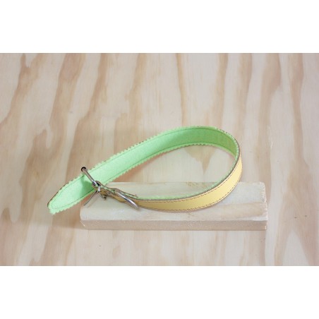collare 49x2.5 interno felpato verde - esterno giallo