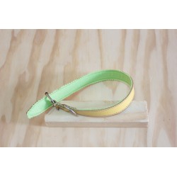 collare 49x2.5 interno felpato verde - esterno giallo