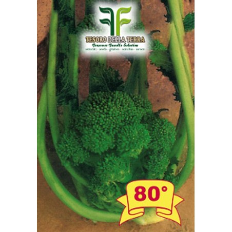 Cima di Rapa o Broccoletto 80° San Martino Grossissima