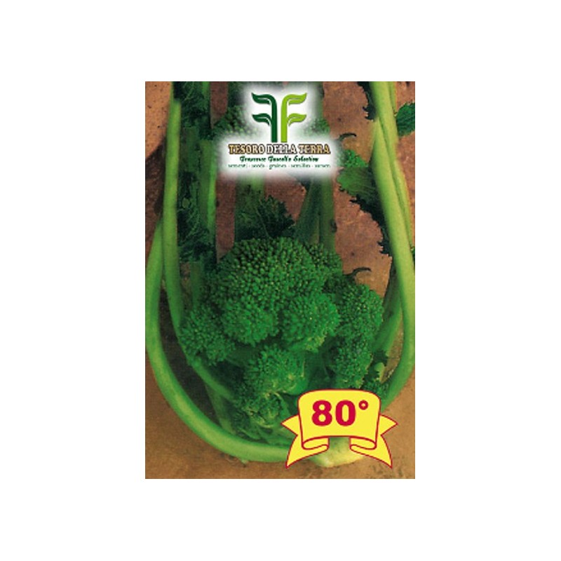 Cima di Rapa o Broccoletto 80° San Martino Grossissima
