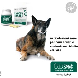 Innovet Condro Stress Cani 60 Compresse