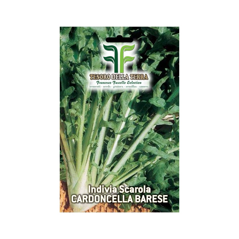 Invidia Scarola Cardoncella Barese
