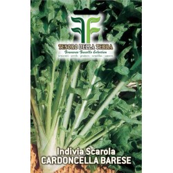 Invidia Scarola Cardoncella Barese