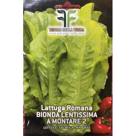 Lattuga Romana Bionda Lenta a Montare 2