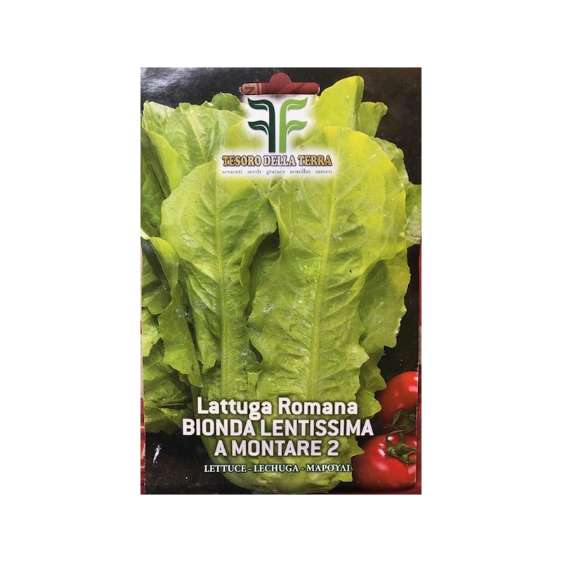 Lattuga Romana Bionda Lenta a Montare 2