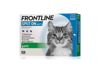 Boehringer Ingelheim Antiparassitario Frontline spot on gatti da 4 pipette