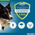 Bayer Elanco Seresto collare per cani fino a 8 kg 38 cm collare antiparassitario taglia piccola a partire da 2 CONFEZIONI il prezzo+ sped. scende a € 30,25 cad.