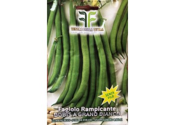 Fagiolo Rampicante Bobis a Grano Bianco 50gr Senza Filo