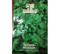 Spinacio Matador