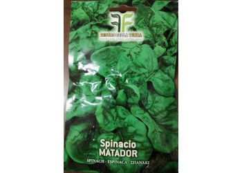 Spinacio Matador