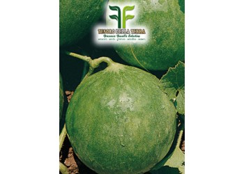 Carosello Tondo Cianciuffo