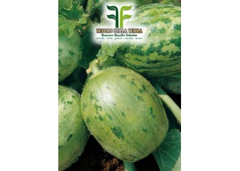 Carosello Tondo di Manduria