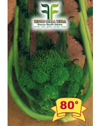 Cima di Rapa o Broccoletto 80° San Martino Grossissima