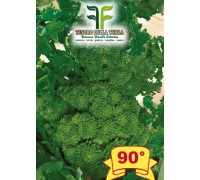 Cima di Rapa o Broccoletto 90° di Fasano Cima Grande