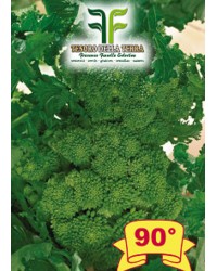 Cima di Rapa o Broccoletto 90° di Fasano Cima Grande