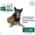 Innovet Condro Stress Cani 60 Compresse