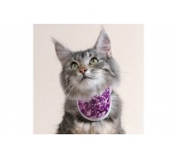 Collare rigido Balto BT NECK CAT Pink