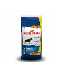 Royal Canin Maxi Junior kg 15 + kg 3 in omaggio