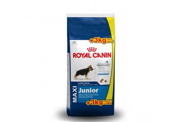 Royal Canin Maxi Junior kg 15 + kg 3 in omaggio