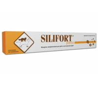 Silifort Pasta "Siringa da 30 g"