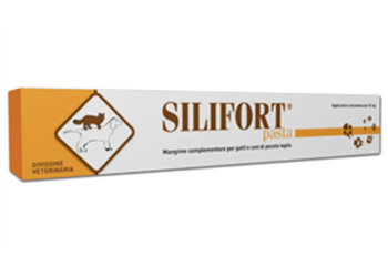 Silifort Pasta "Siringa da 30 g"