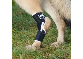 Tutore del garretto Balto BT HOCK Taglia: M
