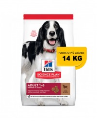 Hill's Science Plan Canine Adult Advanced Fitness Medium Agnello & Riso 14 Kg secco ex 12 kg OFFERTA € 3,46 / kg 