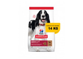 Hill's Science Plan Canine Adult Advanced Fitness Medium Agnello & Riso 14 Kg secco ex 12 kg OFFERTA € 3,60 / kg 