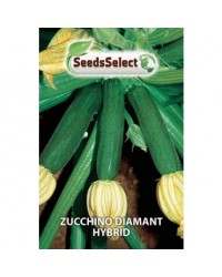 Zucchino "Diamant Hybrid "