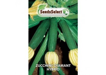 Zucchino "Diamant Hybrid "