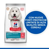 Hill's Science Plan Hypoallergenic No Grain Adult Medium Dog al Salmone da kg 14