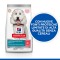 Hill's Science Plan Hypoallergenic No Grain Adult Medium Dog al Salmone da kg 14
