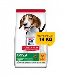 Hill's Science Plan Puppy Healthy Development Medium Chicken Pollo 14 Kg secco ex 12 kg OFFERTA € 3,45 / kg