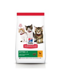 Hill's Science Plan Kitten Healthy Development Pollo 300 gr secco