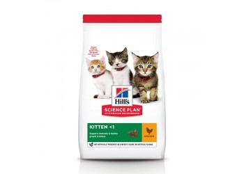 Hill's Science Plan Kitten Healthy Development Pollo 1,5 kg secco